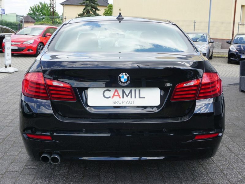 BMW 518 polski salon, pierwszy właściciel, serwis w ASO, rok gwarancji, F10 (2009-2017)