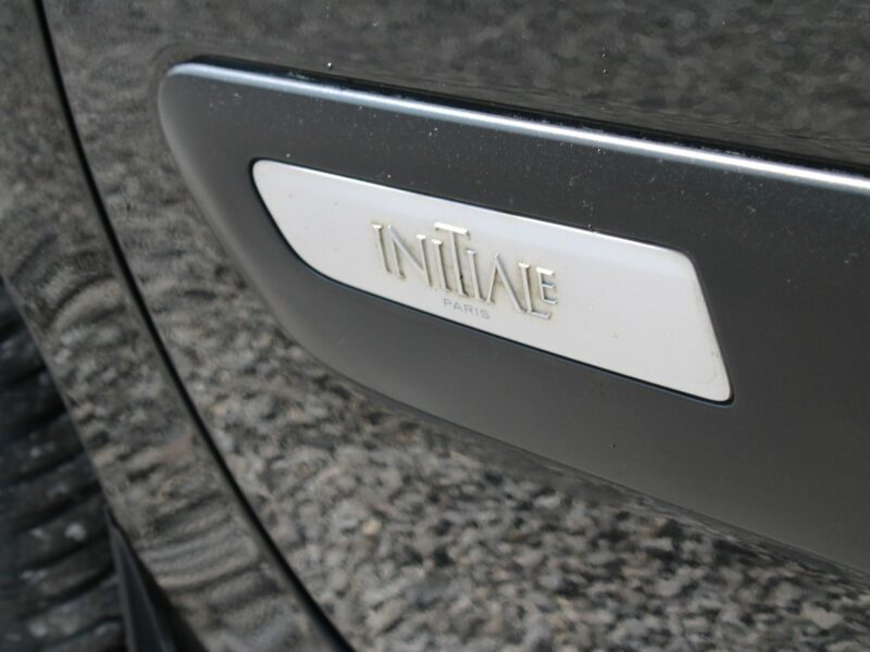Renault Espace Initiale Paris Automat skóra Panorama IV (2003-2014)