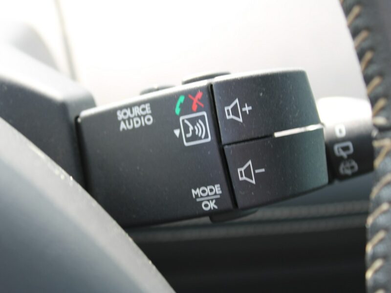 Renault Espace Initiale Paris Automat skóra Panorama IV (2003-2014)