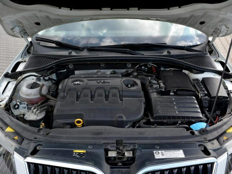 Škoda Octavia Skóry Navi Radar ACC Duża2xParktronici Bi-Xenon Ledy ASO SKODA III (2013-)