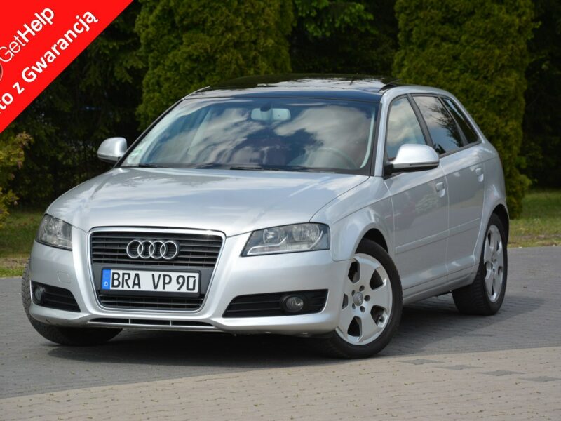 Audi A3 Lift __ DSG Panorama Skóry Duża Navi DRL Alu 17 z Niemiec 8P (2003-2012)