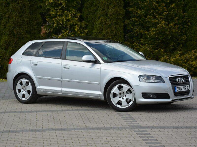 Audi A3 Lift __ DSG Panorama Skóry Duża Navi DRL Alu 17 z Niemiec 8P (2003-2012)