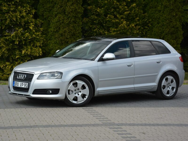 Audi A3 Lift __ DSG Panorama Skóry Duża Navi DRL Alu 17 z Niemiec 8P (2003-2012)