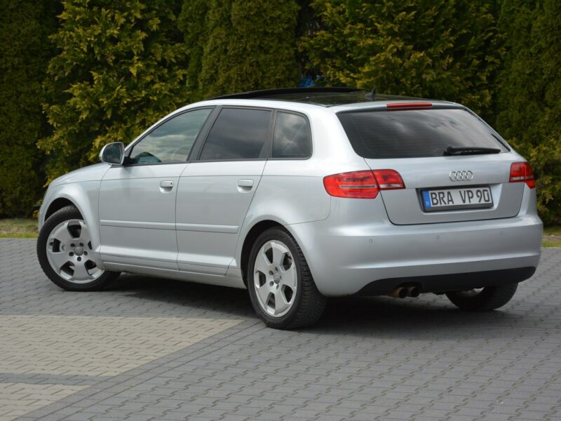 Audi A3 Lift __ DSG Panorama Skóry Duża Navi DRL Alu 17 z Niemiec 8P (2003-2012)