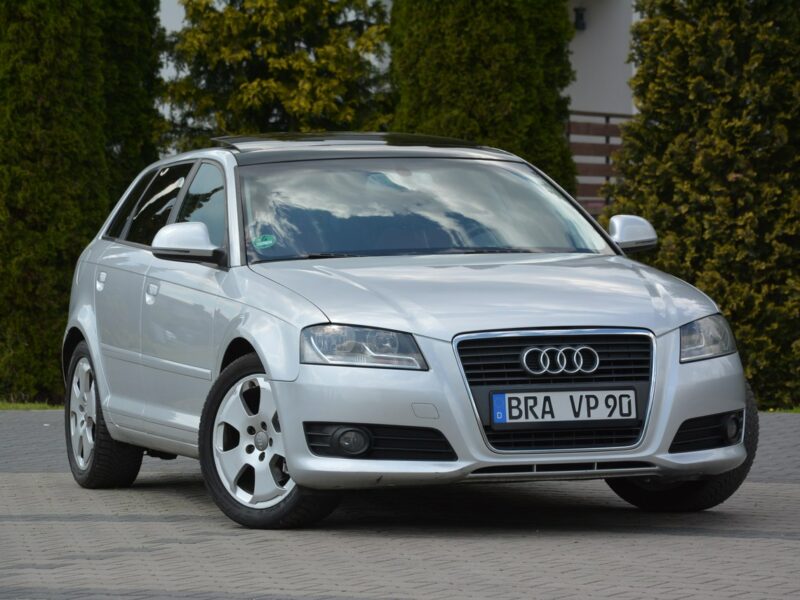 Audi A3 Lift __ DSG Panorama Skóry Duża Navi DRL Alu 17 z Niemiec 8P (2003-2012)