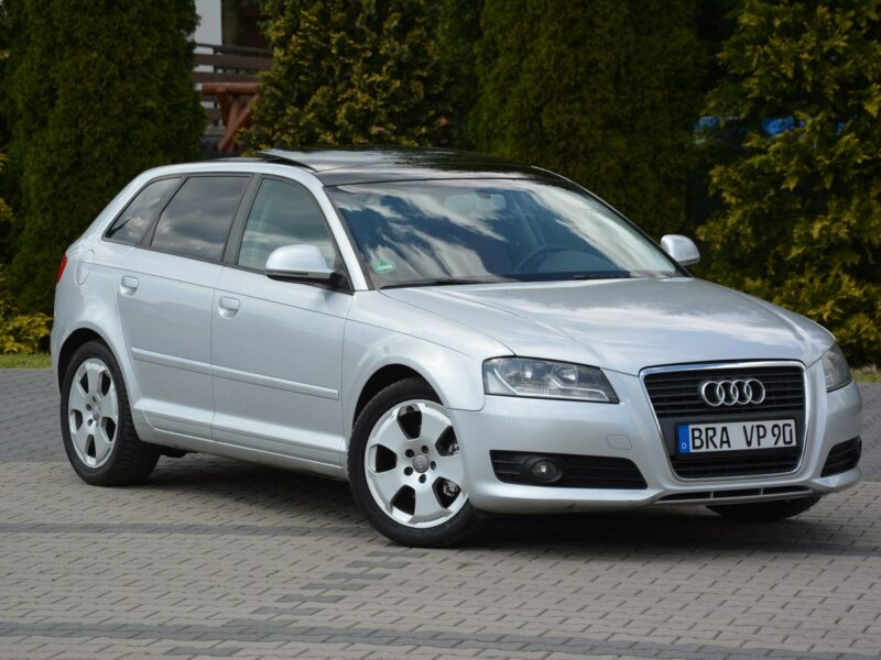 Audi A3 Lift __ DSG Panorama Skóry Duża Navi DRL Alu 17 z Niemiec 8P (2003-2012)