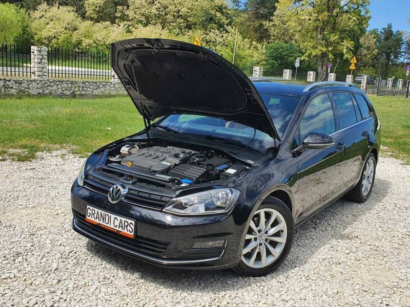 Volkswagen Golf 1.6 TDI CR # Navi # Climatronic # Kamera # Skóra # Alkantara # IGIEŁKA VII (2012-)