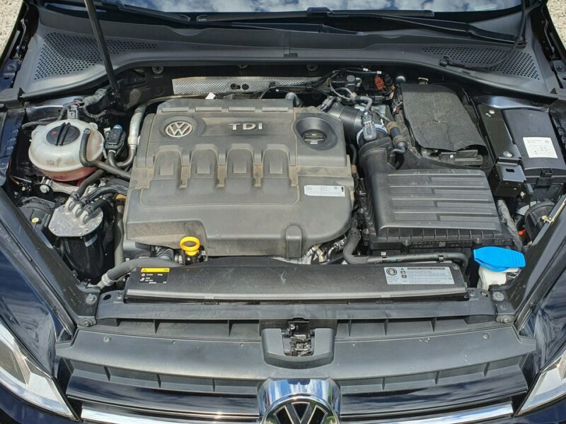 Volkswagen Golf 1.6 TDI CR # Navi # Climatronic # Kamera # Skóra # Alkantara # IGIEŁKA VII (2012-)