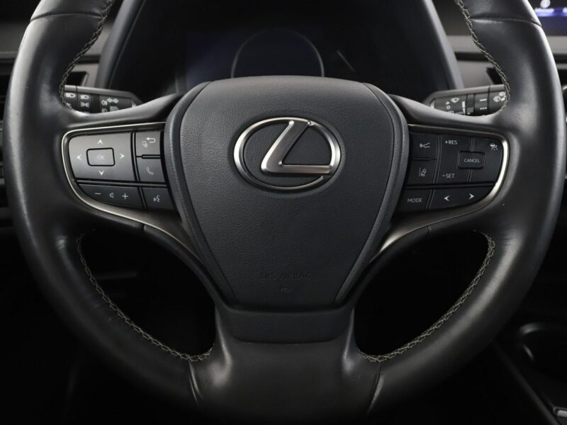 Lexus UX UX 250h Business Edition Tempomat Nawigacja Asystenci Alcantara Kamera