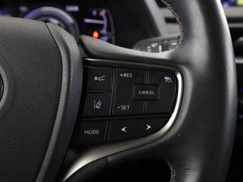 Lexus UX UX 250h Business Edition Tempomat Nawigacja Asystenci Alcantara Kamera