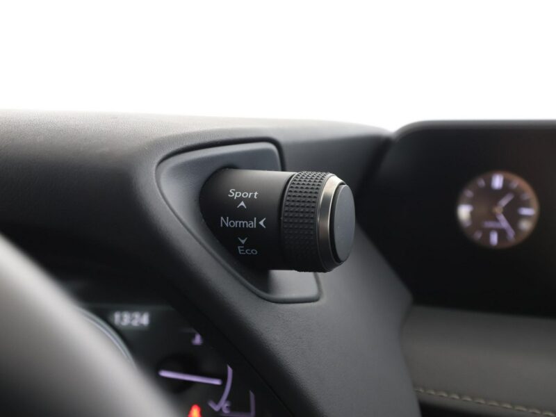 Lexus UX UX 250h Business Edition Tempomat Nawigacja Asystenci Alcantara Kamera