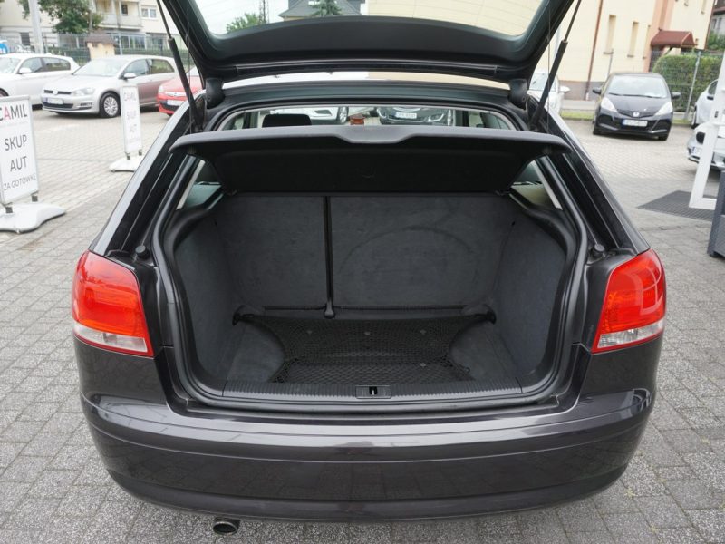 Audi A3 1.6 MPI 116KM, zadbane, zarejestrowane, sprawne, dynamiczne, 8P (2003-2012)