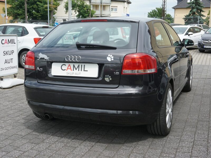 Audi A3 1.6 MPI 116KM, zadbane, zarejestrowane, sprawne, dynamiczne, 8P (2003-2012)