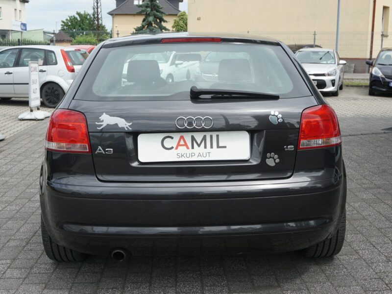Audi A3 1.6 MPI 116KM, zadbane, zarejestrowane, sprawne, dynamiczne, 8P (2003-2012)