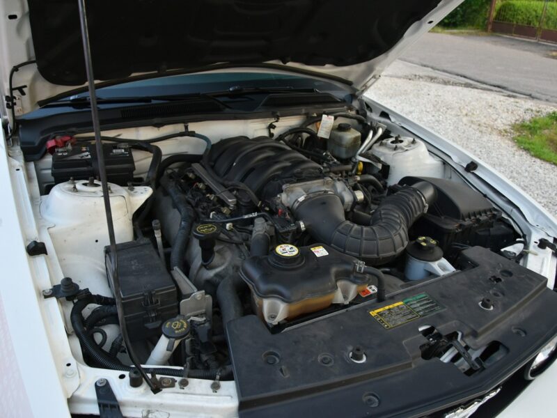 Ford Mustang GT 4.6 V8 305KM Manual 2006r. Klima TEMPOMAT 17" ZADBANY Polecam V (2005-2014)