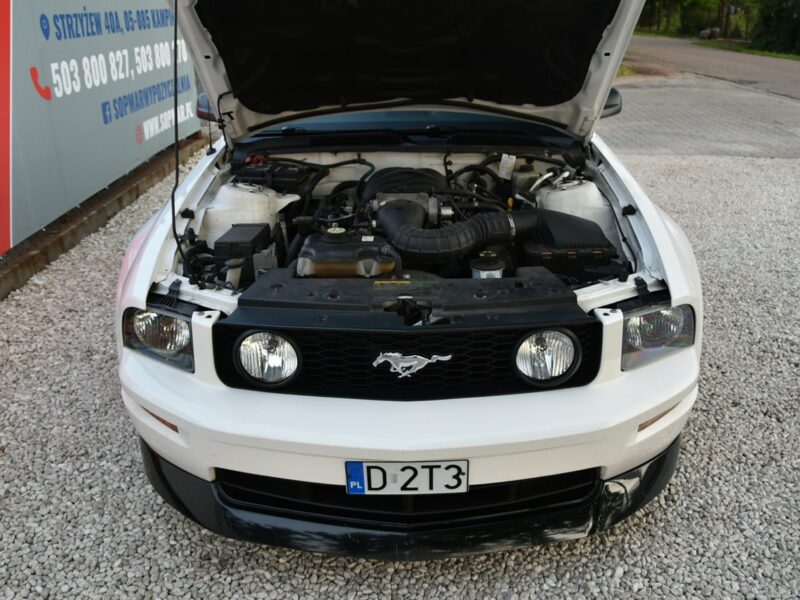 Ford Mustang GT 4.6 V8 305KM Manual 2006r. Klima TEMPOMAT 17" ZADBANY Polecam V (2005-2014)