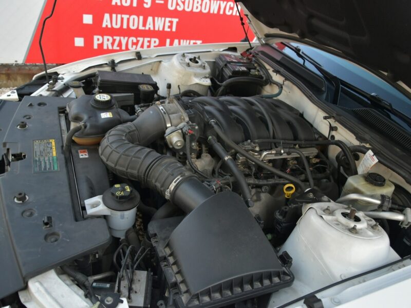 Ford Mustang GT 4.6 V8 305KM Manual 2006r. Klima TEMPOMAT 17" ZADBANY Polecam V (2005-2014)