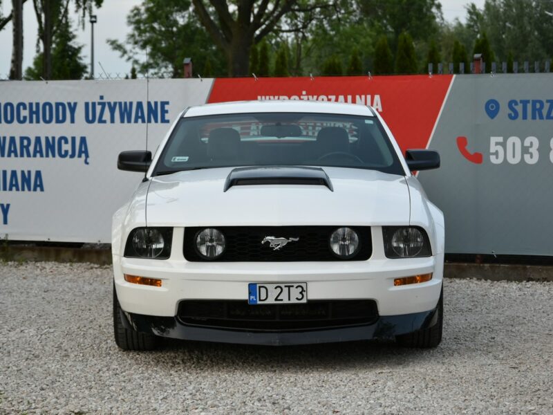 Ford Mustang GT 4.6 V8 305KM Manual 2006r. Klima TEMPOMAT 17" ZADBANY Polecam V (2005-2014)