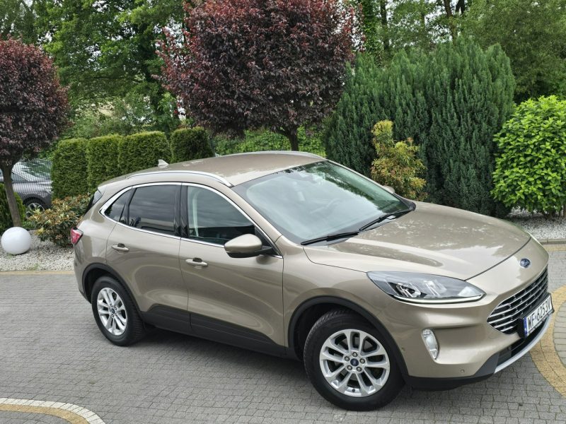 Ford Kuga 1.5 EcoBlue 120KM Titanium / Salon PL I-właściciel III (2019-)