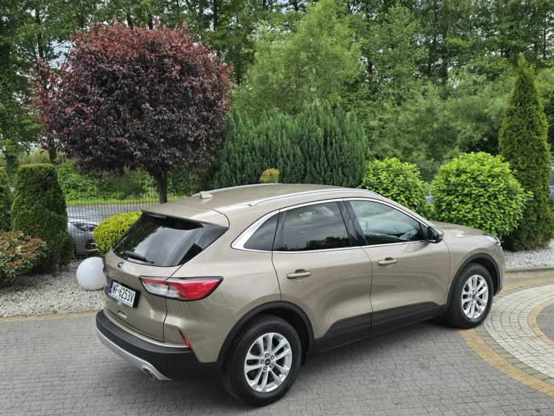 Ford Kuga 1.5 EcoBlue 120KM Titanium / Salon PL I-właściciel III (2019-)
