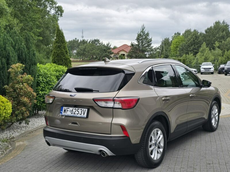 Ford Kuga 1.5 EcoBlue 120KM Titanium / Salon PL I-właściciel III (2019-)