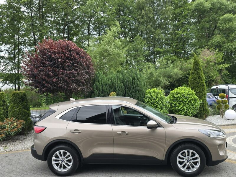Ford Kuga 1.5 EcoBlue 120KM Titanium / Salon PL I-właściciel III (2019-)