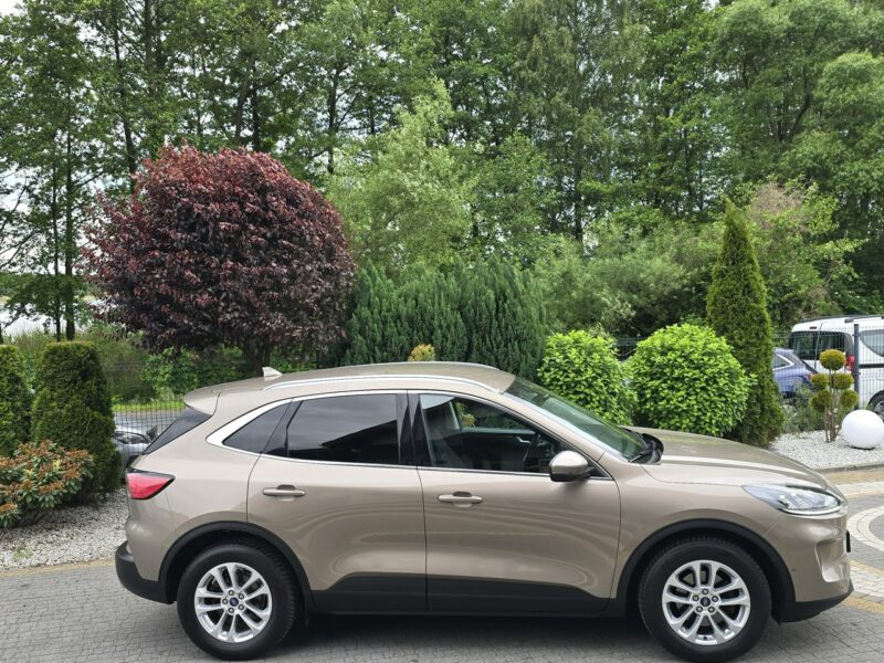 Ford Kuga 1.5 EcoBlue 120KM Titanium / Salon PL I-właściciel III (2019-)