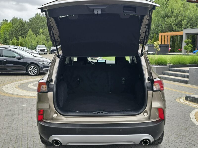 Ford Kuga 1.5 EcoBlue 120KM Titanium / Salon PL I-właściciel III (2019-)