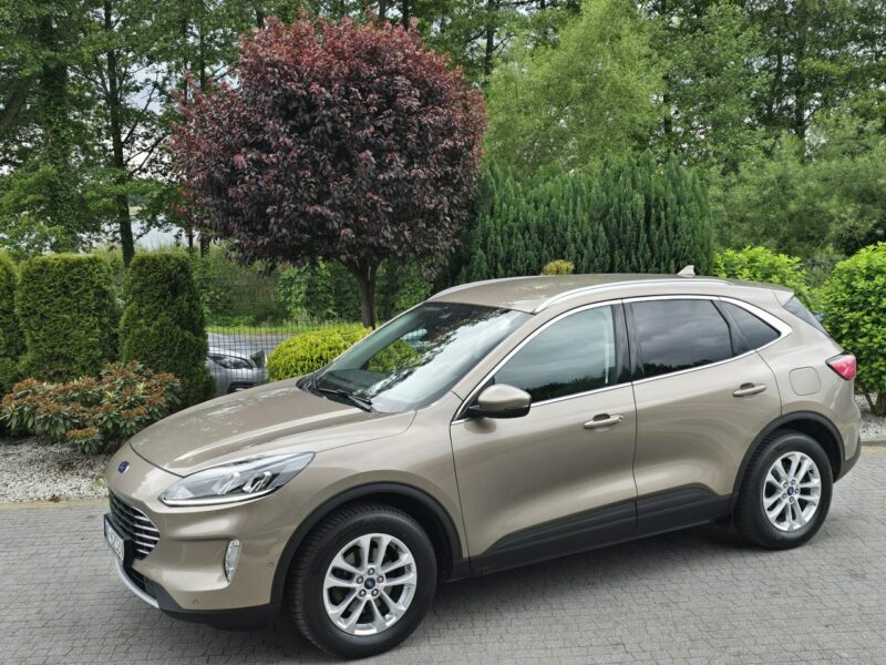 Ford Kuga 1.5 EcoBlue 120KM Titanium / Salon PL I-właściciel III (2019-)