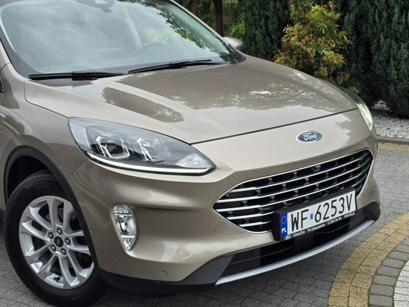 Ford Kuga 1.5 EcoBlue 120KM Titanium / Salon PL I-właściciel III (2019-)