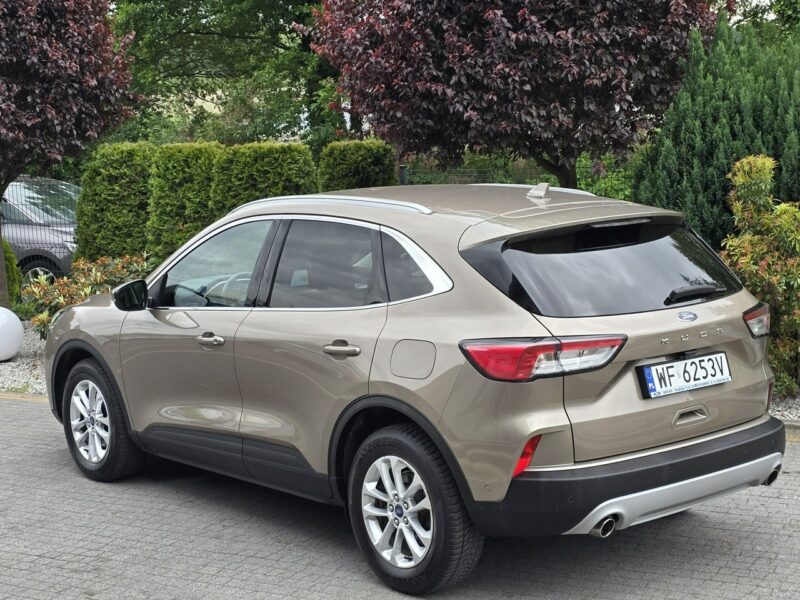 Ford Kuga 1.5 EcoBlue 120KM Titanium / Salon PL I-właściciel III (2019-)