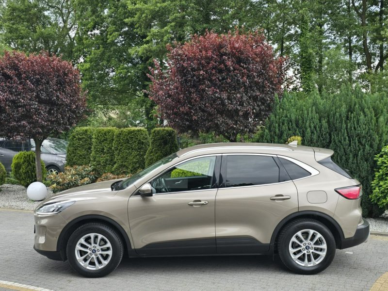 Ford Kuga 1.5 EcoBlue 120KM Titanium / Salon PL I-właściciel III (2019-)