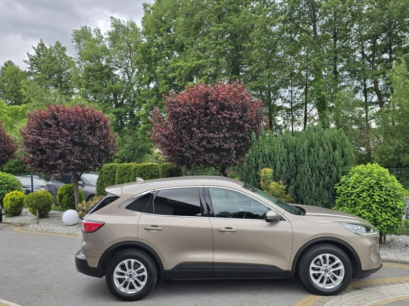 Ford Kuga 1.5 EcoBlue 120KM Titanium / Salon PL I-właściciel III (2019-)