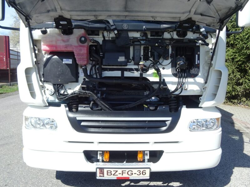 DAF LF 55.220 Euro 5 Kontener 20palet winda sprowadzony DAf LF 55.220 Euro 5 kontener 20 palet duża winda klapa Piękny, sprow