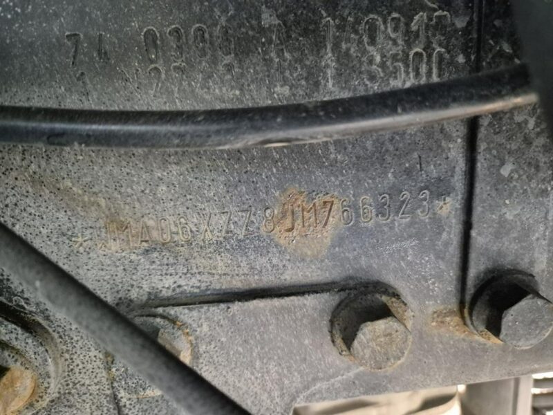 MAN Tgx