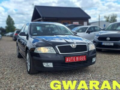 Škoda Octavia 1.9Tdi klima salon polska bez dpf II (2004-2013)