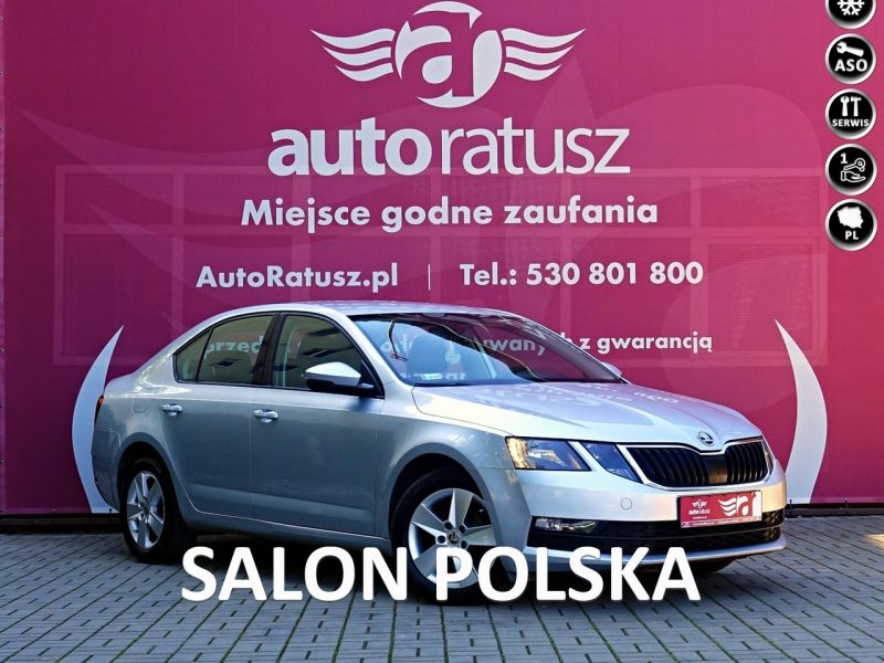 Škoda Octavia Fv Marża * Salon Polska * Pełny serwis * Bezwypadkowa Org. Lakier * III (2013-)