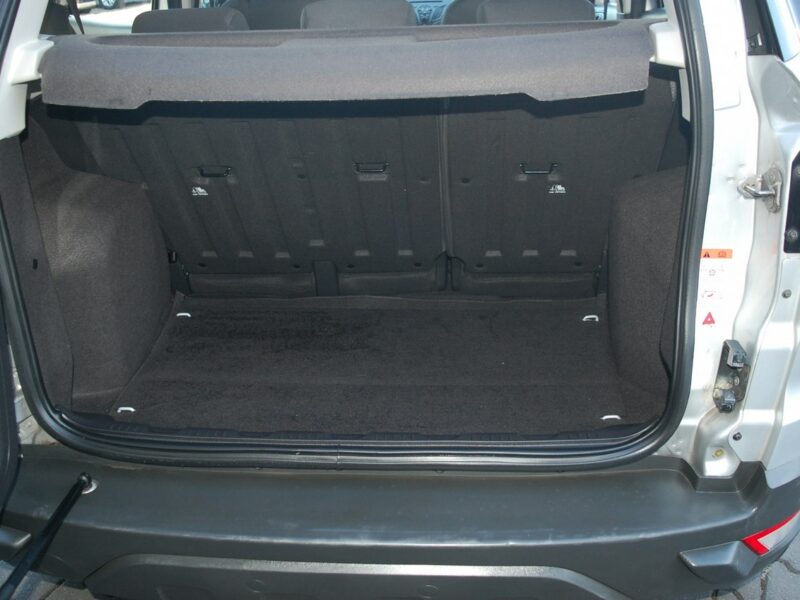 Ford EcoSport II (2013-)