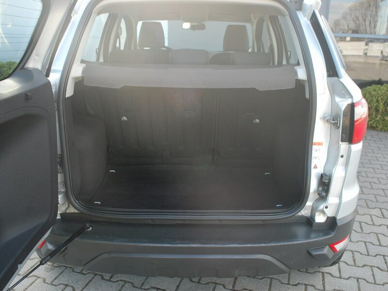 Ford EcoSport II (2013-)