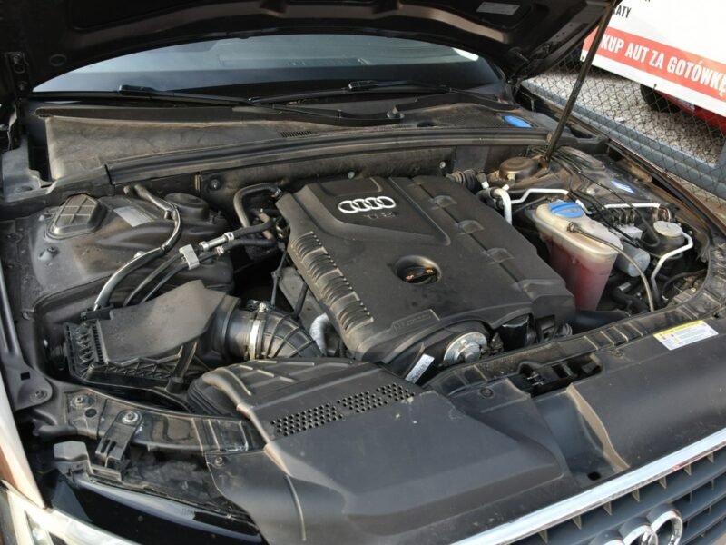Audi A5 Sportback 1.8TFSi 160KM Manual 2010r. BiX LED 18" TEMPOMAT 8T (2007-2016)