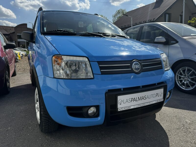 Fiat Panda Raty/Zamiana Gwaranca 4x4 CLIMATRONIC benzyna 1,2 II (2003-2012)