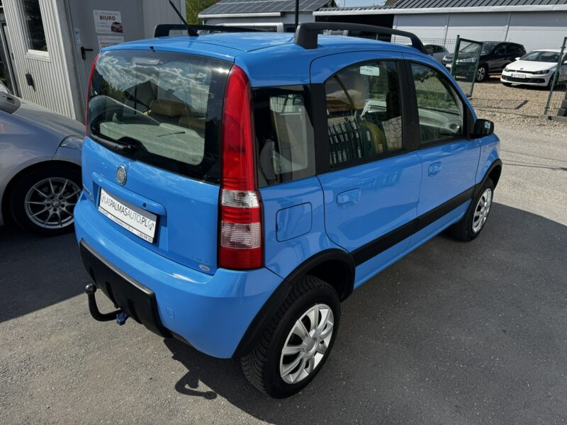 Fiat Panda Raty/Zamiana Gwaranca 4x4 CLIMATRONIC benzyna 1,2 II (2003-2012)