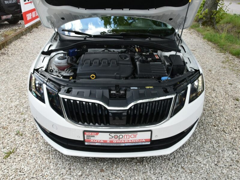 Škoda Octavia 1.6TDi 116KM 2019r. Polski SALON IIwł. 79tkm Klima LED 2xPDC Polecam III (2013-)