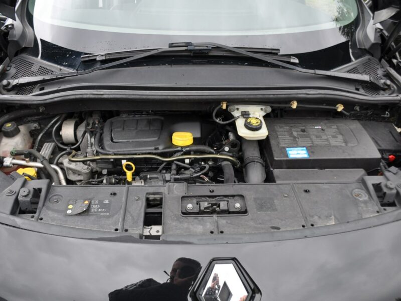Renault Scenic 1.6dCi(130KM)*Lift*Led*Duża Navi*Skóry*Bose*I Wł*Panorama*Alu17"ASO III (2009-2016)