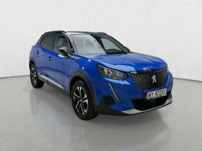Peugeot 2008 II (2019-)