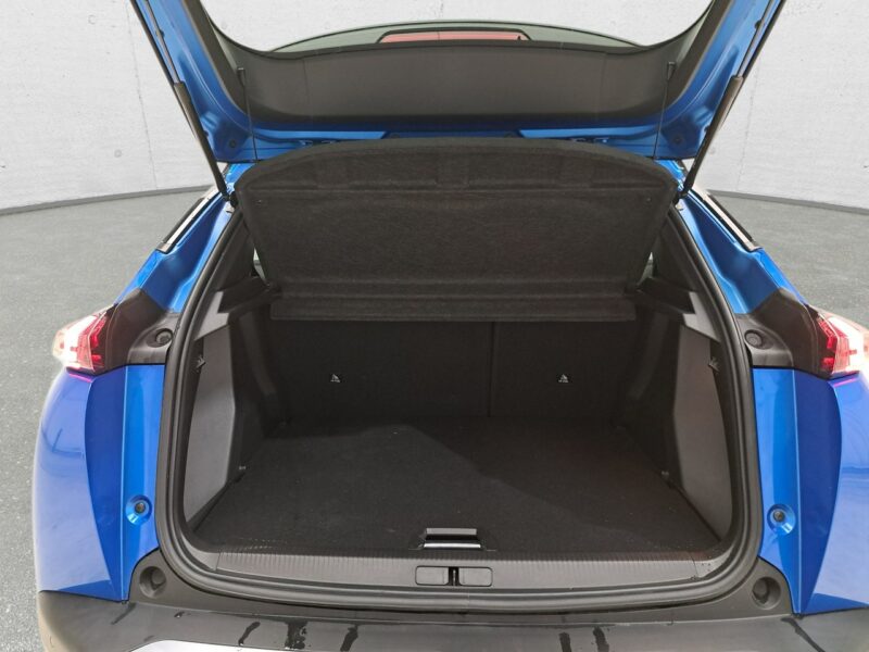 Peugeot 2008 II (2019-)