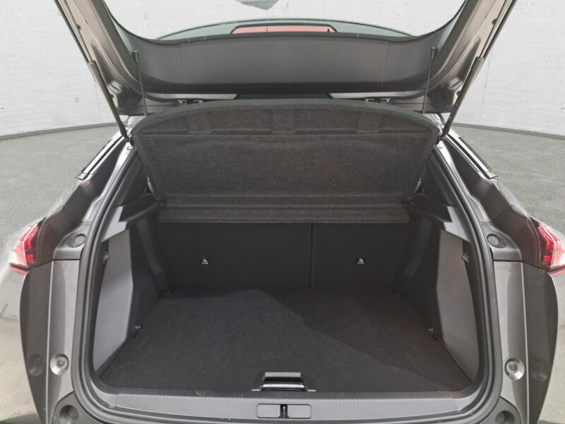 Peugeot 2008 II (2019-)