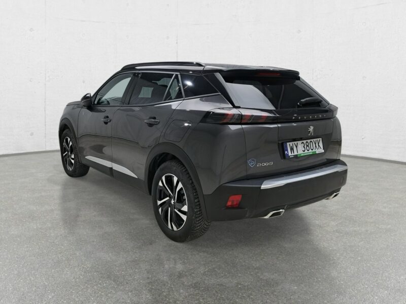 Peugeot 2008 II (2019-)