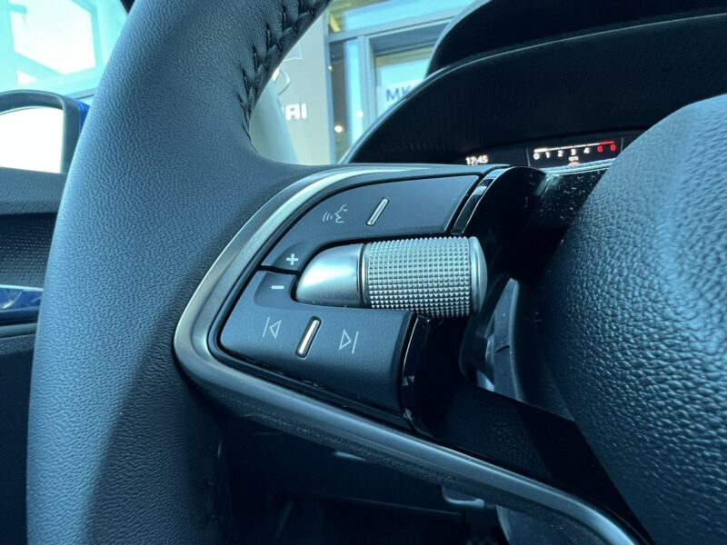 Škoda Fabia 1.0 TSI Selection LED, Grzane Fotele Salon PL IV (2021-)