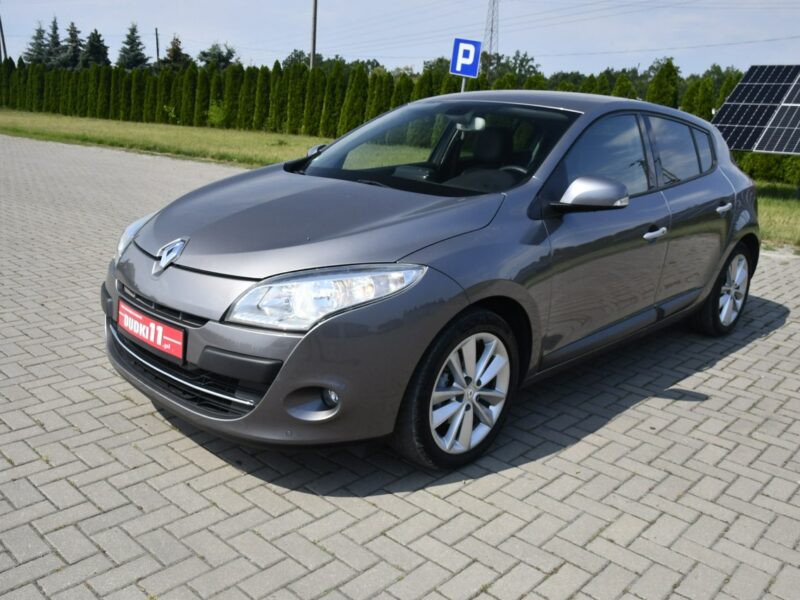 Renault Megane 1.9dci DUDKI11 Serwis,Navi.Skóry.Klimatr 2 str.Parktronic,kredyt.Okazj III (2008-2016)